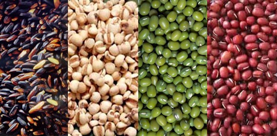 Gạo lứt, đậu đỏ, đậu xanh, đậu đen rất tốt cho người bệnh thủy đậu Gạo lứt, đậu đỏ, đậu xanh, đậu đen rất tốt cho người bệnh thủy đậu