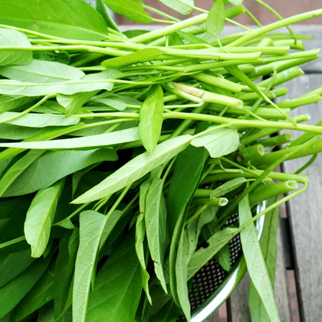 Rau muống: Cực tốt và cực độc, biết mà tránh khi ăn kẻo 'rước họa vào thân' ảnh 2