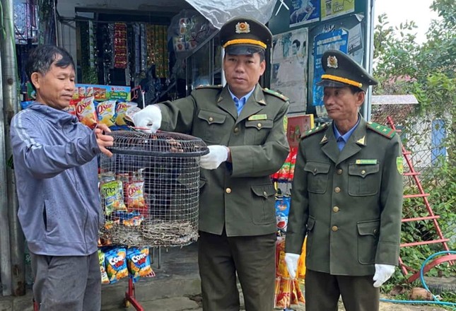 Phát hiện con vật quý hiếm bò vào vườn nhà ở Huế ảnh 1