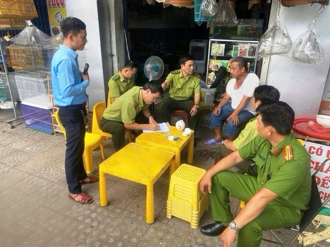 Ngăn chặn mua bán chim trời làm vật phóng sinh mùa lễ Phật đản ảnh 2
