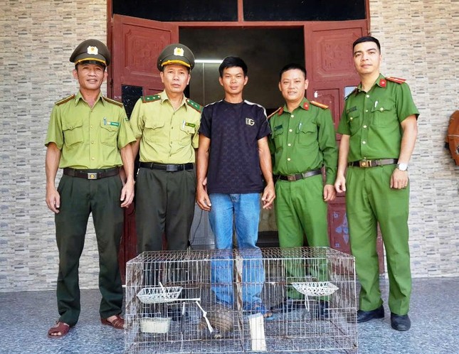 Nhặt được con vật lạ bên đường, kết quả kiểm tra sau đó vô cùng bất ngờ ảnh 2