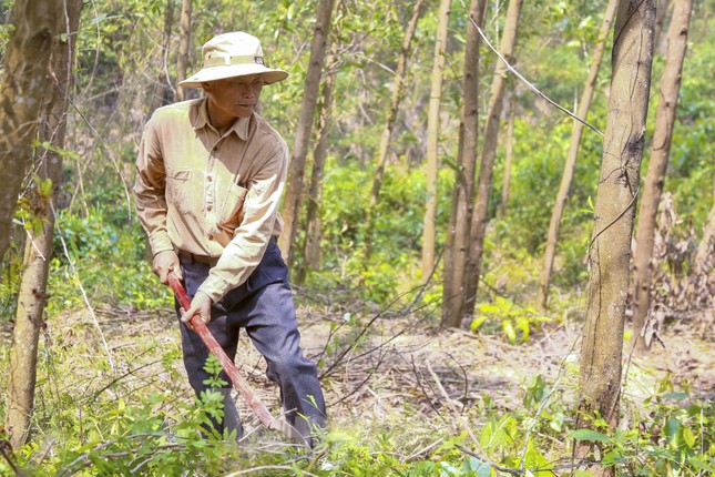 Đà Nẵng tăng cường phòng cháy rừng giữa cao điểm nắng nóng ảnh 3