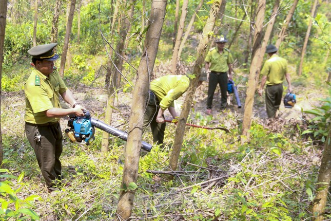Đà Nẵng tăng cường phòng cháy rừng giữa cao điểm nắng nóng ảnh 4
