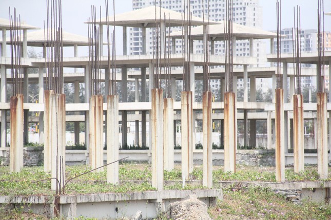 Cảnh đìu hiu những dự án du lịch nghìn tỷ ven biển Quảng Nam ảnh 18