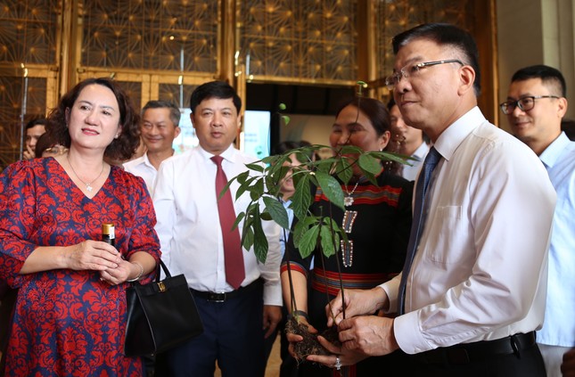 Đưa Quảng Nam thành trung tâm công nghiệp dược liệu của cả nước ảnh 1