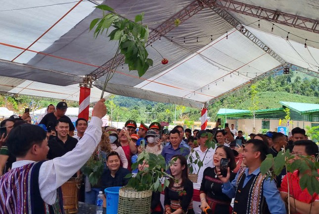 Công nhận tri thức dân gian về sâm là Di sản văn hóa phi vật thể quốc gia ảnh 1