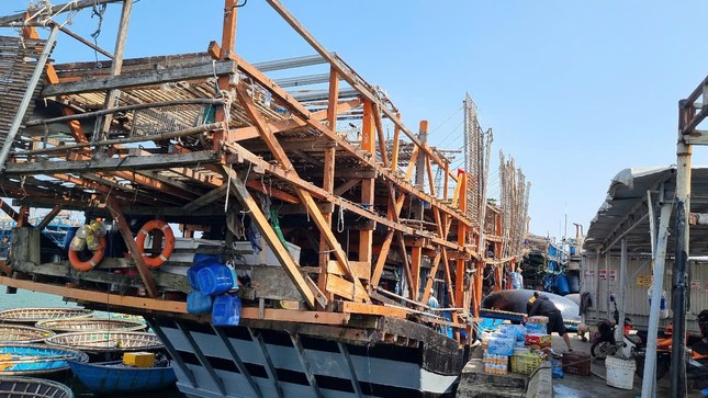 Chủ tàu cá ở Quảng Nam bị phạt 400 triệu đồng vì mất tín hiệu giám sát hành trình ảnh 1
