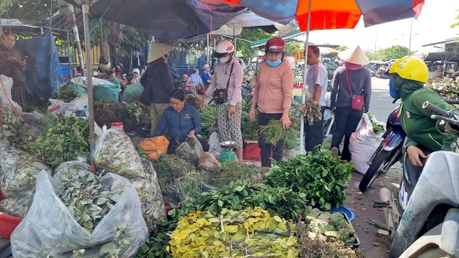 Nhộn nhịp chợ ‘lá mùng 5’ cận Tết Đoan Ngọ ảnh 8