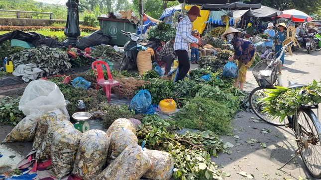 Nhộn nhịp chợ ‘lá mùng 5’ cận Tết Đoan Ngọ ảnh 5