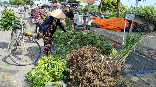 Nhộn nhịp chợ ‘lá mùng 5’ cận Tết Đoan Ngọ ảnh 13