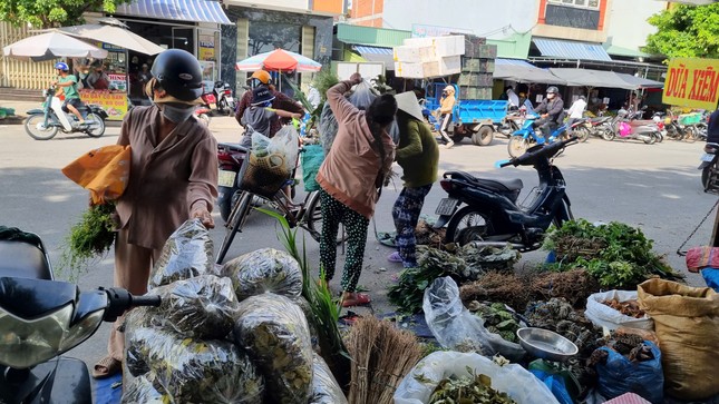 Nhộn nhịp chợ ‘lá mùng 5’ cận Tết Đoan Ngọ ảnh 15
