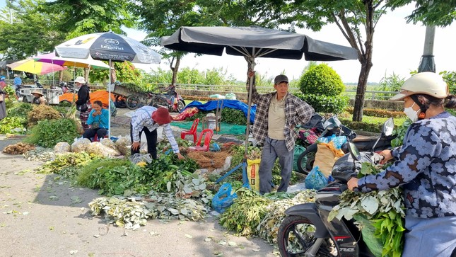 Nhộn nhịp chợ ‘lá mùng 5’ cận Tết Đoan Ngọ ảnh 10