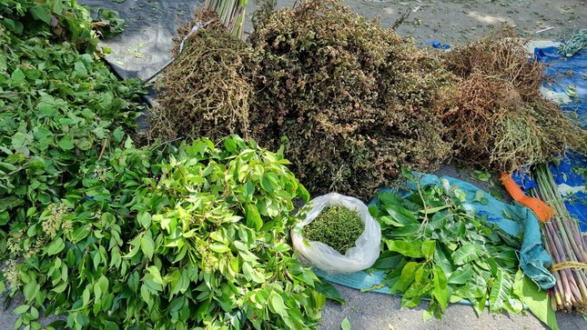 Nhộn nhịp chợ ‘lá mùng 5’ cận Tết Đoan Ngọ ảnh 6