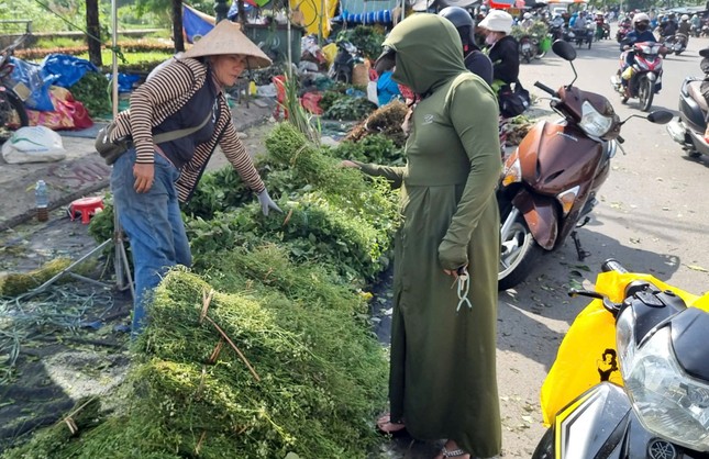 Nhộn nhịp chợ ‘lá mùng 5’ cận Tết Đoan Ngọ ảnh 14