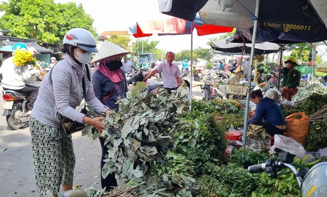 Nhộn nhịp chợ ‘lá mùng 5’ cận Tết Đoan Ngọ ảnh 1