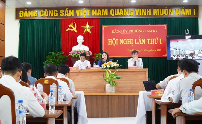 Quảng Nam vận hành thử nghiệm các xã phường mới ảnh 1