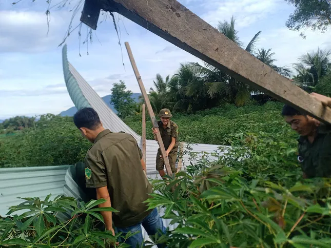 Lốc xoáy cuốn bay gần 30 mái nhà dân ở Quảng Nam ảnh 3