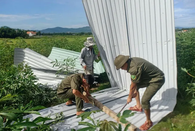 Lốc xoáy cuốn bay gần 30 mái nhà dân ở Quảng Nam ảnh 2