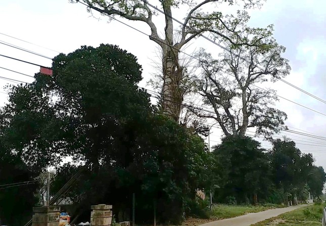 Sau lên phim 'Mắt biếc', phim trường 'Trường Tiểu học Cộng đồng Đo Đo' ra sao? ảnh 9