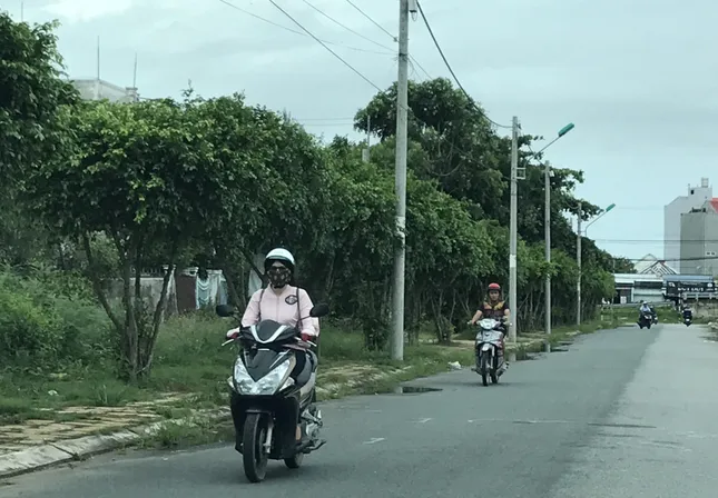 Bạc Liêu: Bắt giam chủ đầu tư dự án khu dân cư Nọc Nạng ảnh 1