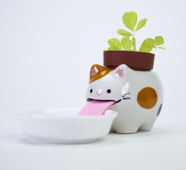 Giảm ra đường thì ở nhà trồng cây: Những chậu cây cưng xỉu, còn “tự uống nước” nữa này! ảnh 3