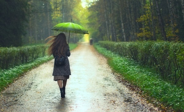 “Bật mí” những bí mật tâm lý: Chuyến đi trong rừng nói gì về tính cách và tình yêu của bạn ảnh 1