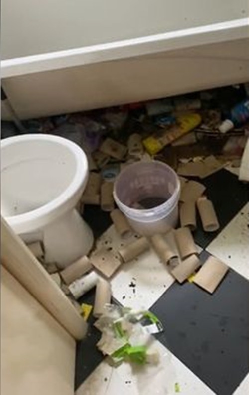 Khách thuê nhà vừa quỵt tiền, vừa để rác phủ kín mít đến mức không nhìn thấy sàn nhà đâu ảnh 3