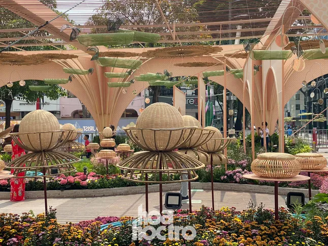 Đường hoa Nguyễn Huệ đẹp rực rỡ đón Tết Tân Sửu, đảm bảo quy tắc an toàn với du khách đến thăm ảnh 4