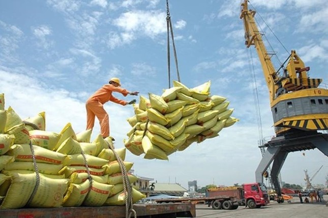 Gạo Việt xuất khẩu lấy lại vị thế ‘đắt giá nhất thế giới’ ảnh 1