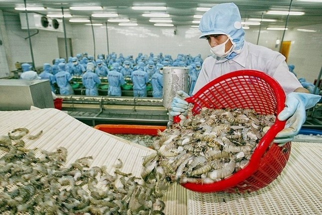 Trung Quốc tiêu thụ thủy sản Việt Nam nhiều nhất ảnh 1