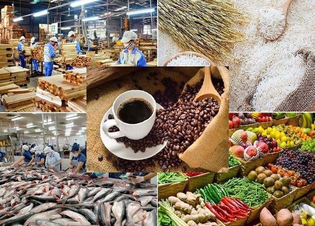 Lộ diện 'ngôi sao' sáng nhất của nông sản Việt Nam ảnh 1