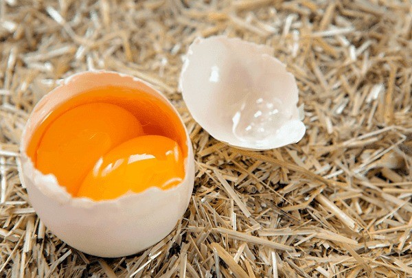 Đề nghị Bộ Công an điều tra, xử lý tin đồn trứng giả gây hoang mang ảnh 1
