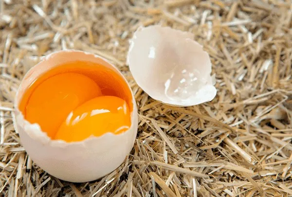 Đề nghị Bộ Công an điều tra, xử lý tin đồn trứng giả gây hoang mang ảnh 1