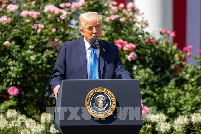 THẾ GIỚI 24H: Tổng thống Mỹ Trump đề xuất áp thuế 50% đối với EU và 25% đối với Apple ảnh 1