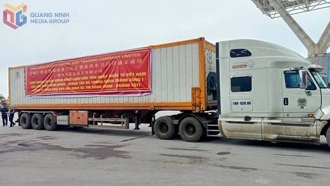 Sau 2 ngày thương thảo, sầu riêng đông lạnh Việt Nam thẳng tiến Trung Quốc ảnh 1