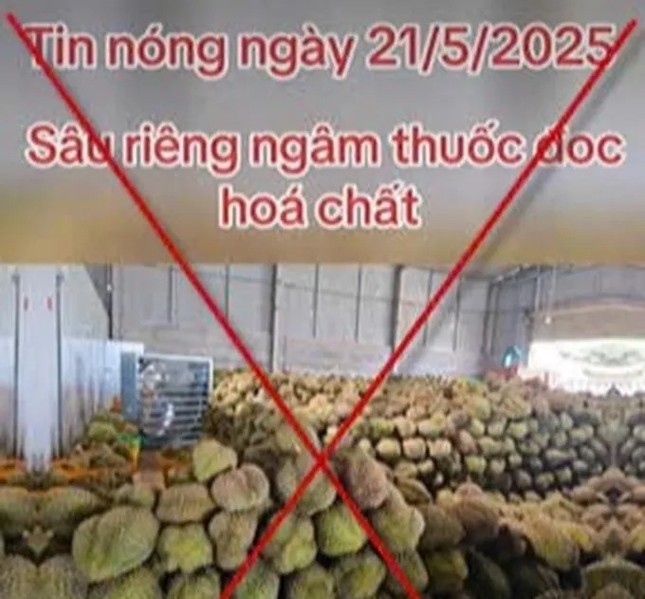 Lời giải niềm tin thị trường sầu riêng sau tin đồn thất thiệt ảnh 1