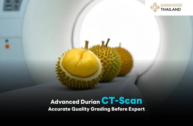 Việt Nam trong cuộc đua khốc liệt giành thị phần sầu riêng tại Trung Quốc ảnh 2