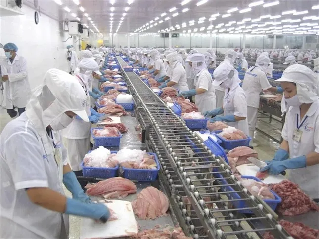 Việt Nam vừa thu 28 tỷ USD nông sản, khách nào &apos;sộp&apos; nhất? ảnh 2