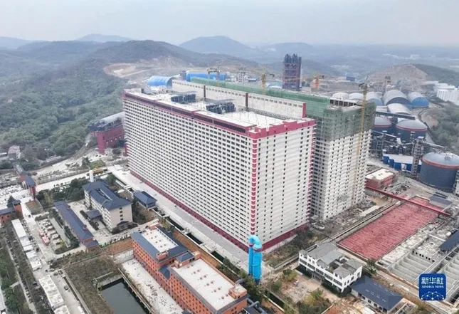 Đề xuất xây &apos;chung cư&apos; cho... lợn ảnh 1