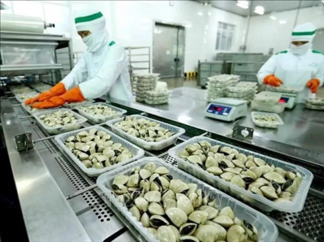 Trung Quốc chi 8 triệu USD mua nghêu Việt Nam ảnh 1