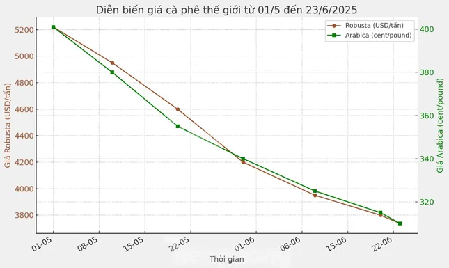 Lý do giá cà phê lao dốc ảnh 1