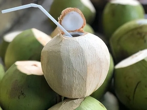Vì sao Việt Nam vừa phải chi khoản tiền rất lớn nhập khẩu dừa? ảnh 2