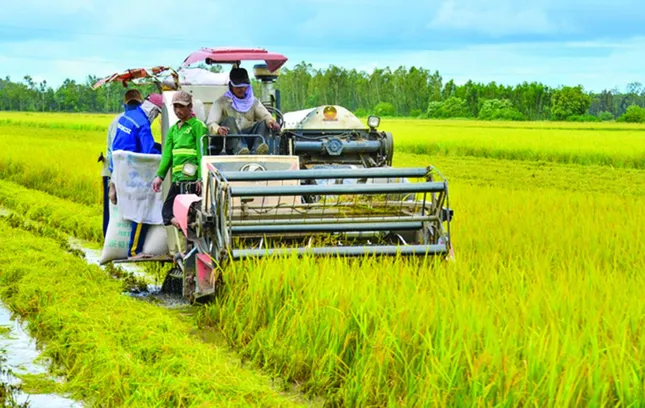 Đưa nông sản Việt vượt bão thuế, hướng tới kim ngạch 65 tỷ USD ảnh 1