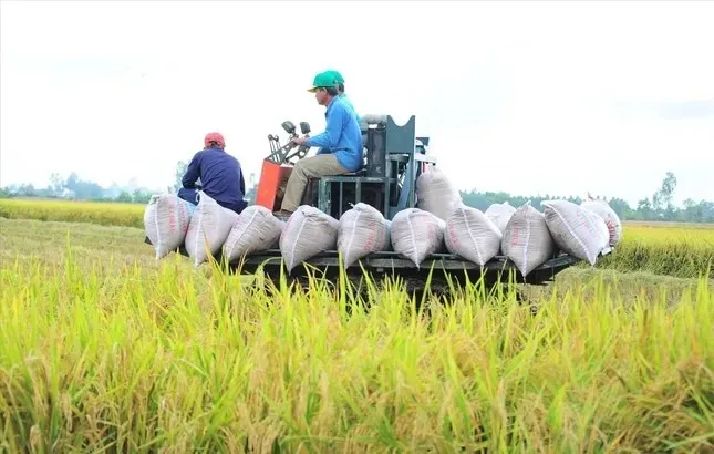 Việt Nam thu về 33,8 tỷ USD từ xuất khẩu nông sản, giao thương với Mỹ tăng mạnh ảnh 1