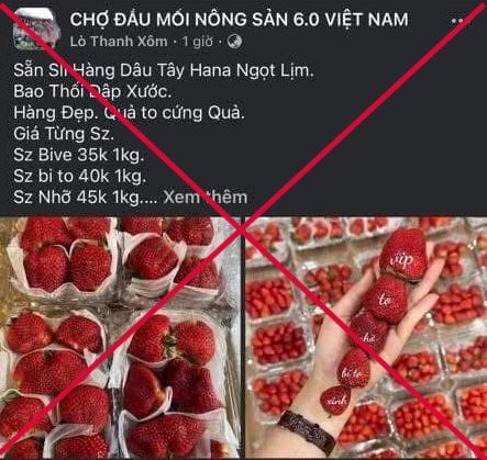 Tìm người bị đối tượng ở Sơn La dụ mua nông sản rồi chiếm đoạt tiền cọc ảnh 1