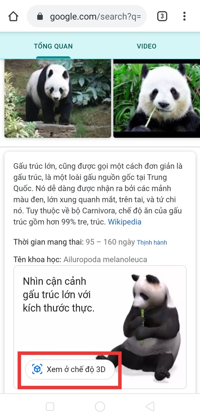 Nuôi thú ảo 3D siêu cưng chỉ với một “cú click” trên Google, bạn đã biết cách chưa? ảnh 1