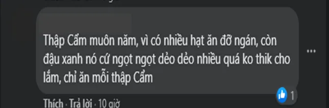 “Đại chiến” Tết Trung Thu: Bạn thuộc team thập cẩm hay team đậu xanh? ảnh 3