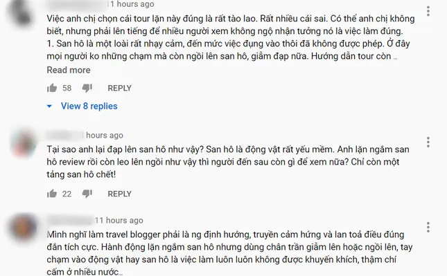 Quang Vinh bị chỉ trích gay gắt về hành động ảnh hưởng tiêu cực đến sinh vật biển ảnh 2