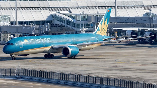 Máy bay Vietnam Airlines từ Hà Nội đi Đức phải hạ cánh khẩn cấp ở Thổ Nhĩ Kỳ ảnh 1