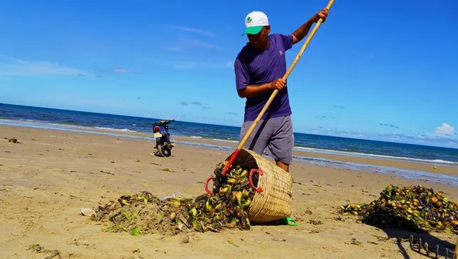Bất ngờ với hình ảnh &apos;chưa bao giờ thấy&apos; ở biển Bãi Sau, TP Vũng Tàu ảnh 7